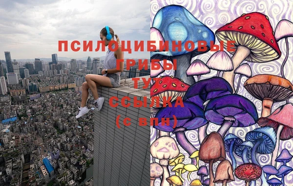соль курить ск Бронницы