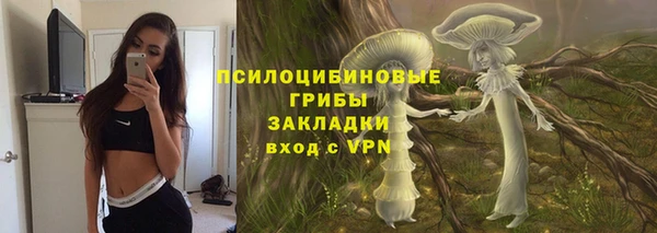 хмурый Верея
