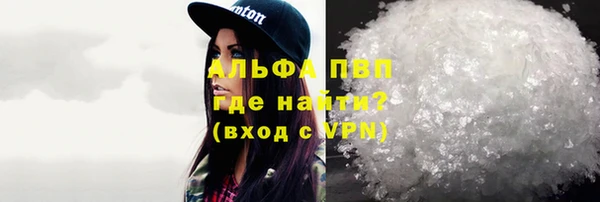 хмурый Верея