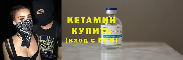 хмурый Верея