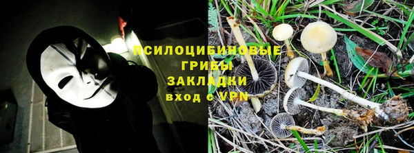 хмурый Верея