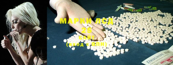 хмурый Верея