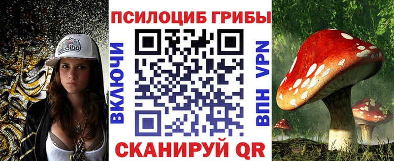 Псилоцибиновые грибы Cubensis  Емва 