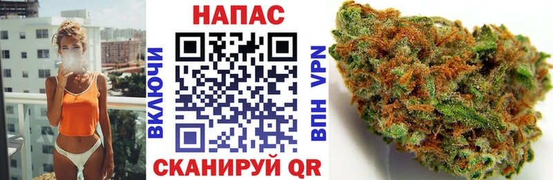Шишки марихуана планчик  Емва 